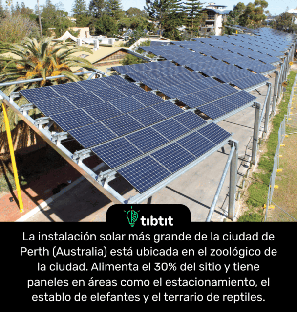 La instalación solar más grande de la ciudad de Perth (Australia) está ubicada en el zoológico de la ciudad. Alimenta el 30% del sitio y tiene paneles en áreas como el estacionamiento, el establo de elefantes y el terrario de reptiles.