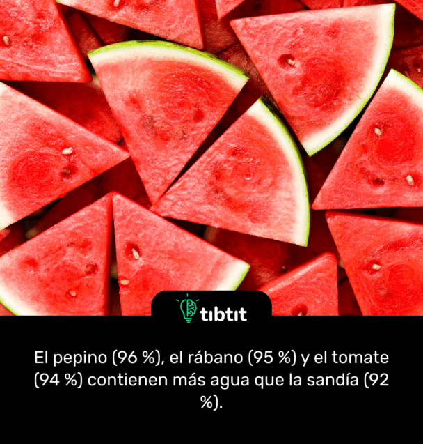 El pepino (96 %), el rábano (95 %) y el tomate (94 %) contienen más agua que la sandía (92 %).
