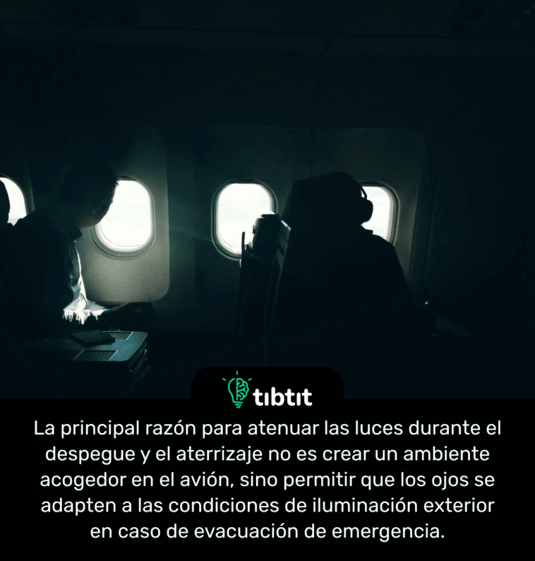 La principal razón para atenuar las luces durante el despegue y el aterrizaje no es crear un ambiente acogedor en el avión, sino permitir que los ojos se adapten a las condiciones de iluminación exterior en caso de evacuación de emergencia.