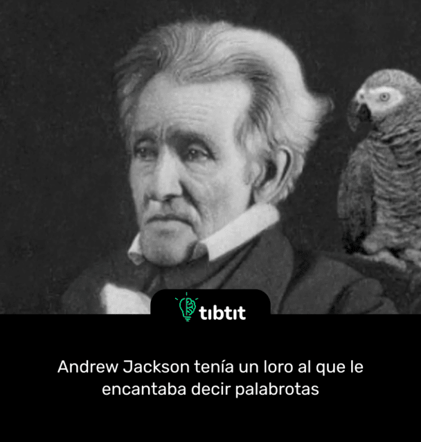 Andrew Jackson tenía un loro al que le encantaba decir palabrotas