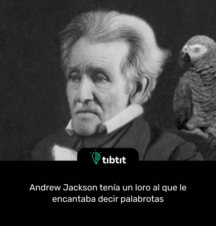 Andrew Jackson tenía un loro al que le encantaba decir palabrotas
