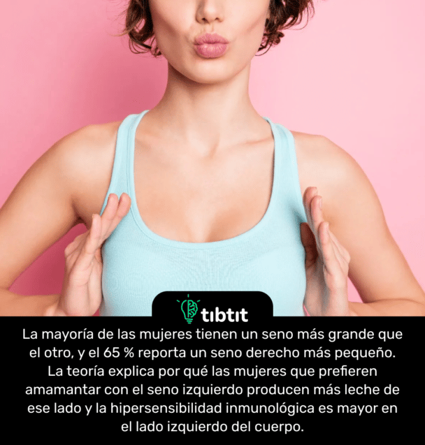 La mayoría de las mujeres tienen un seno más grande que el otro, y el 65 % reporta un seno derecho más pequeño. La teoría explica por qué las mujeres que prefieren amamantar con el seno izquierdo producen más leche de ese lado y la hipersensibilidad inmunológica es mayor en el lado izquierdo del cuerpo.