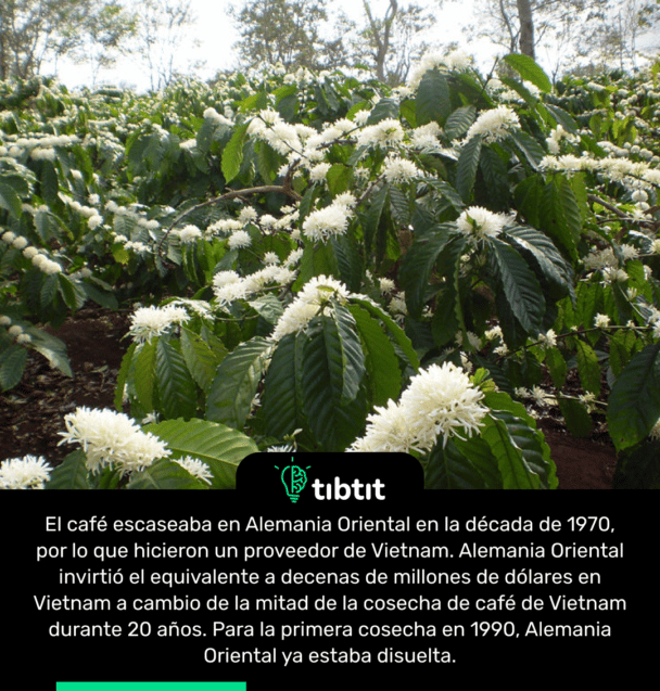 El café escaseaba en Alemania Oriental en la década de 1970, por lo que hicieron un proveedor de Vietnam. Alemania Oriental invirtió el equivalente a decenas de millones de dólares en Vietnam a cambio de la mitad de la cosecha de café de Vietnam durante 20 años. Para la primera cosecha en 1990, Alemania Oriental ya estaba disuelta.