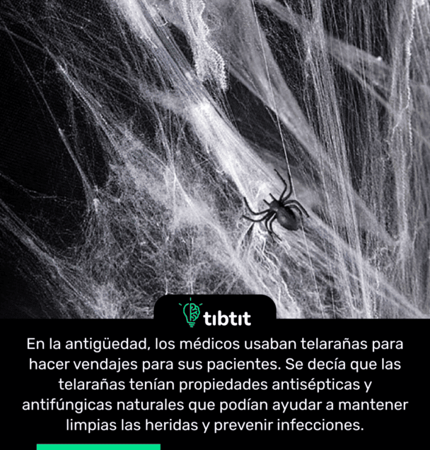 En la antigüedad, los médicos usaban telarañas para hacer vendajes para sus pacientes. Se decía que las telarañas tenían propiedades antisépticas y antifúngicas naturales que podían ayudar a mantener limpias las heridas y prevenir infecciones.