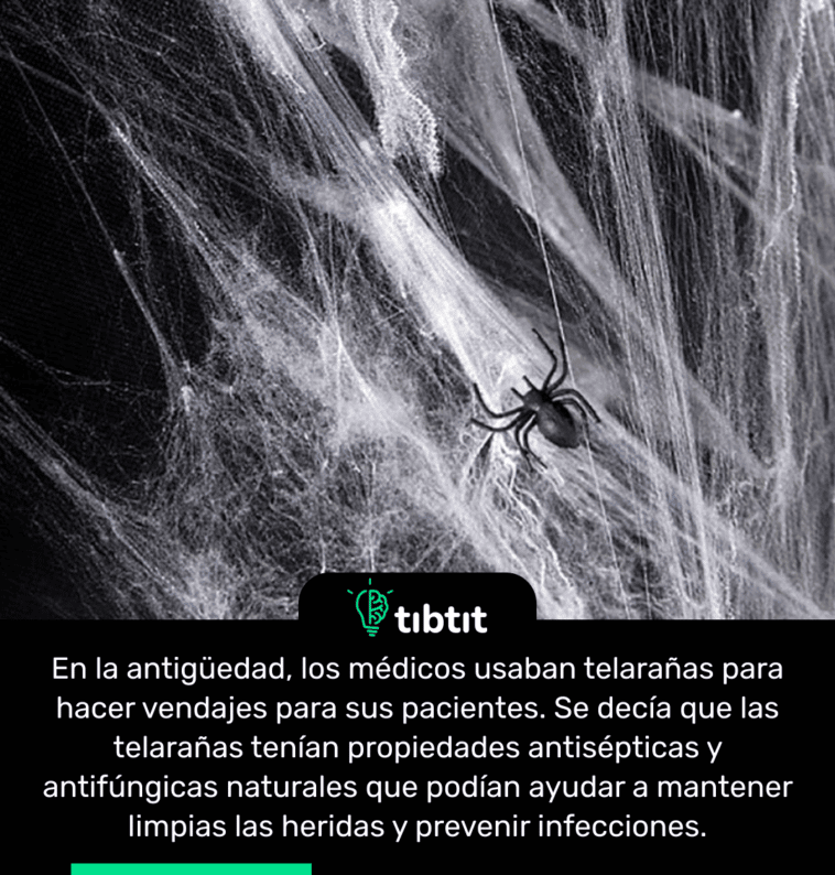 En la antigüedad, los médicos usaban telarañas para hacer vendajes para sus pacientes. Se decía que las telarañas tenían propiedades antisépticas y antifúngicas naturales que podían ayudar a mantener limpias las heridas y prevenir infecciones.