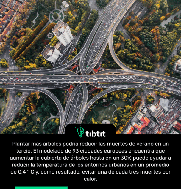 Plantar más árboles podría reducir las muertes de verano en un tercio. El modelado de 93 ciudades europeas encuentra que aumentar la cubierta de árboles hasta en un 30% puede ayudar a reducir la temperatura de los entornos urbanos en un promedio de 0,4 ° C y, como resultado, evitar una de cada tres muertes por calor.