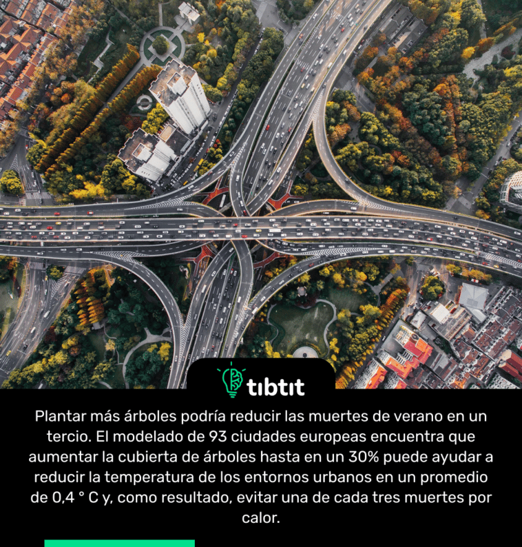 Plantar más árboles podría reducir las muertes de verano en un tercio. El modelado de 93 ciudades europeas encuentra que aumentar la cubierta de árboles hasta en un 30% puede ayudar a reducir la temperatura de los entornos urbanos en un promedio de 0,4 ° C y, como resultado, evitar una de cada tres muertes por calor.