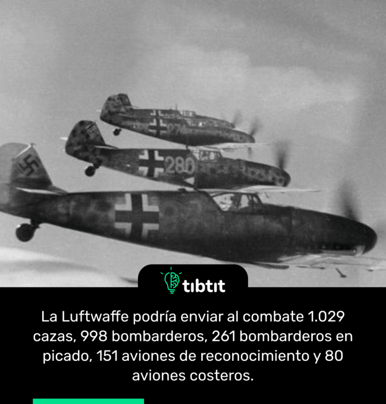 La Luftwaffe podría enviar al combate 1.029 cazas, 998 bombarderos, 261 bombarderos en picado, 151 aviones de reconocimiento y 80 aviones costeros.
