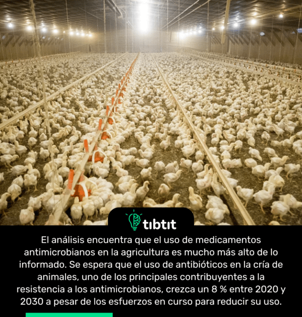 El análisis encuentra que el uso de medicamentos antimicrobianos en la agricultura es mucho más alto de lo informado. Se espera que el uso de antibióticos en la cría de animales, uno de los principales contribuyentes a la resistencia a los antimicrobianos, crezca un 8 % entre 2020 y 2030 a pesar de los esfuerzos en curso para reducir su uso.