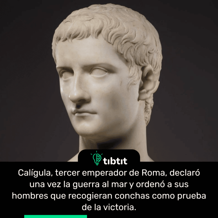 Calígula, tercer emperador de Roma, declaró una vez la guerra al mar y ordenó a sus hombres que recogieran conchas como prueba de la victoria.