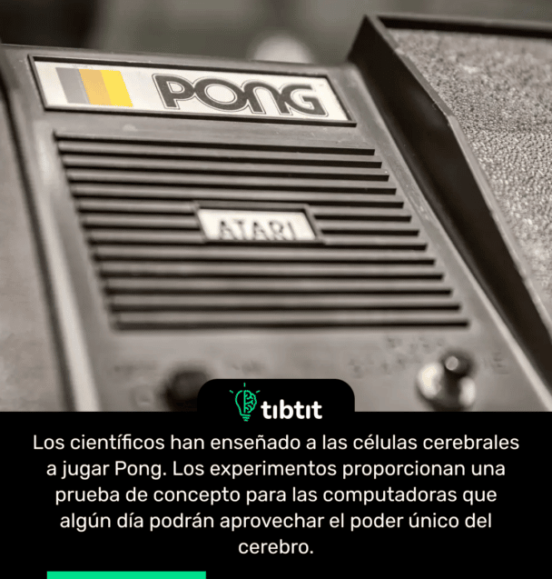 Los científicos han enseñado a las células cerebrales a jugar Pong. Los experimentos proporcionan una prueba de concepto para las computadoras que algún día podrán aprovechar el poder único del cerebro.