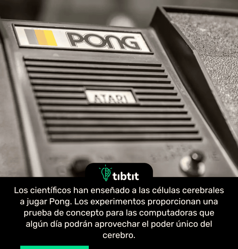 Los científicos han enseñado a las células cerebrales a jugar Pong. Los experimentos proporcionan una prueba de concepto para las computadoras que algún día podrán aprovechar el poder único del cerebro.