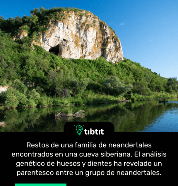 Restos de una familia de neandertales encontrados en una cueva siberiana. El análisis genético de huesos y dientes ha revelado un parentesco entre un grupo de neandertales.