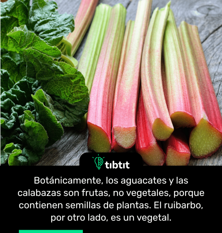 Botánicamente, los aguacates y las calabazas son frutas, no vegetales, porque contienen semillas de plantas. El ruibarbo, por otro lado, es un vegetal.