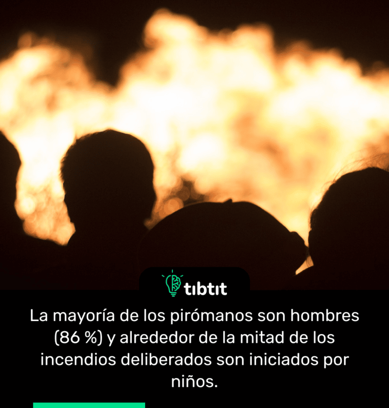 La mayoría de los pirómanos son hombres (86 %) y alrededor de la mitad de los incendios deliberados son iniciados por niños.