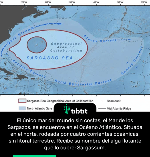 El único mar del mundo sin costas, el Mar de los Sargazos, se encuentra en el Océano Atlántico. Situada en el norte, rodeada por cuatro corrientes oceánicas, sin litoral terrestre. Recibe su nombre del alga flotante que lo cubre: Sargassum.