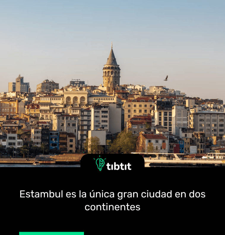 Estambul es la única gran ciudad en dos continentes