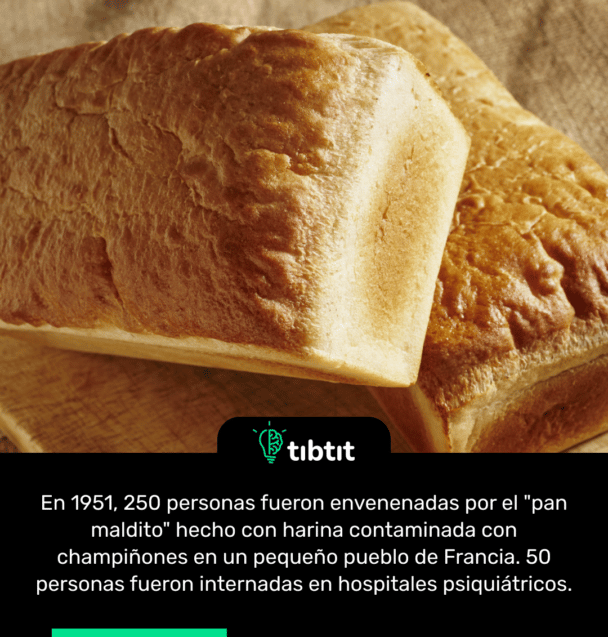 En 1951, 250 personas fueron envenenadas por el "pan maldito" hecho con harina contaminada con champiñones en un pequeño pueblo de Francia. 50 personas fueron internadas en hospitales psiquiátricos.