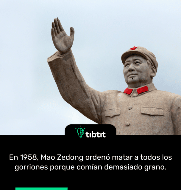 En 1958, Mao Zedong ordenó matar a todos los gorriones porque comían demasiado grano.