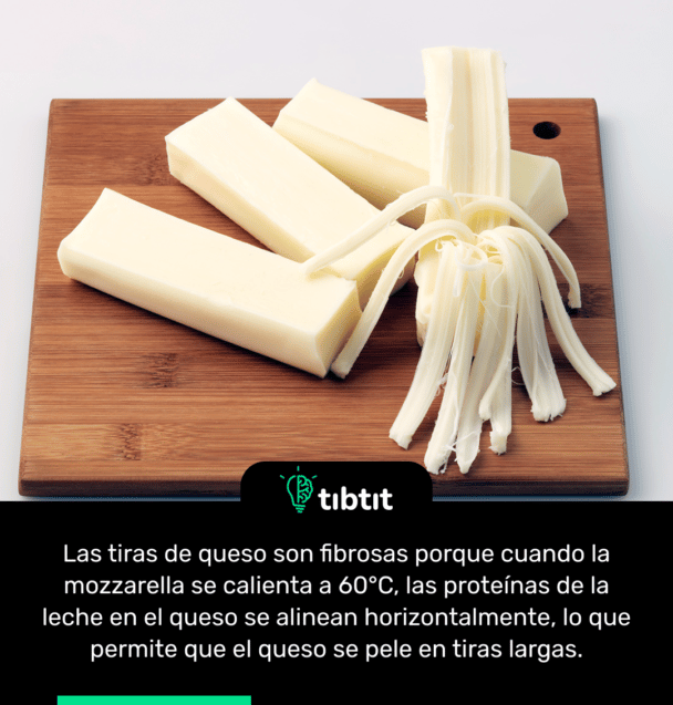 Las tiras de queso son fibrosas porque cuando la mozzarella se calienta a 60°C, las proteínas de la leche en el queso se alinean horizontalmente, lo que permite que el queso se pele en tiras largas.