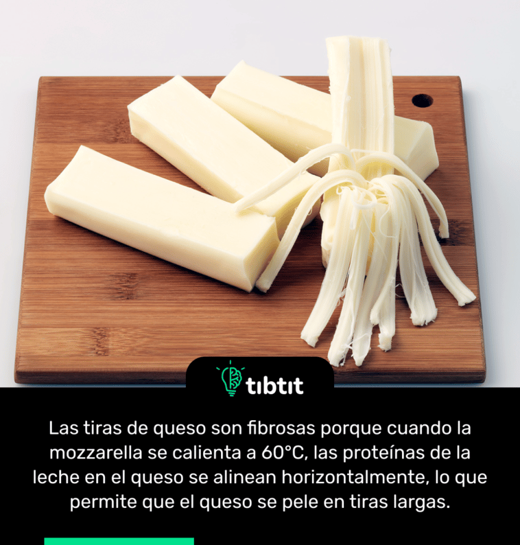 Las tiras de queso son fibrosas porque cuando la mozzarella se calienta a 60°C, las proteínas de la leche en el queso se alinean horizontalmente, lo que permite que el queso se pele en tiras largas.