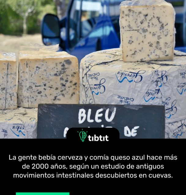La gente bebía cerveza y comía queso azul hace más de 2000 años, según un estudio de antiguos movimientos intestinales descubiertos en cuevas.