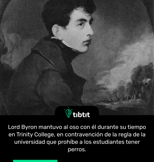 Lord Byron mantuvo al oso con él durante su tiempo en Trinity College, en contravención de la regla de la universidad que prohíbe a los estudiantes tener perros.