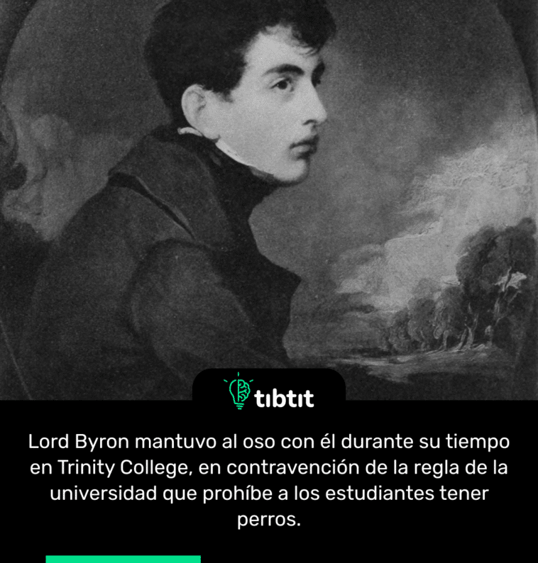 Lord Byron mantuvo al oso con él durante su tiempo en Trinity College, en contravención de la regla de la universidad que prohíbe a los estudiantes tener perros.
