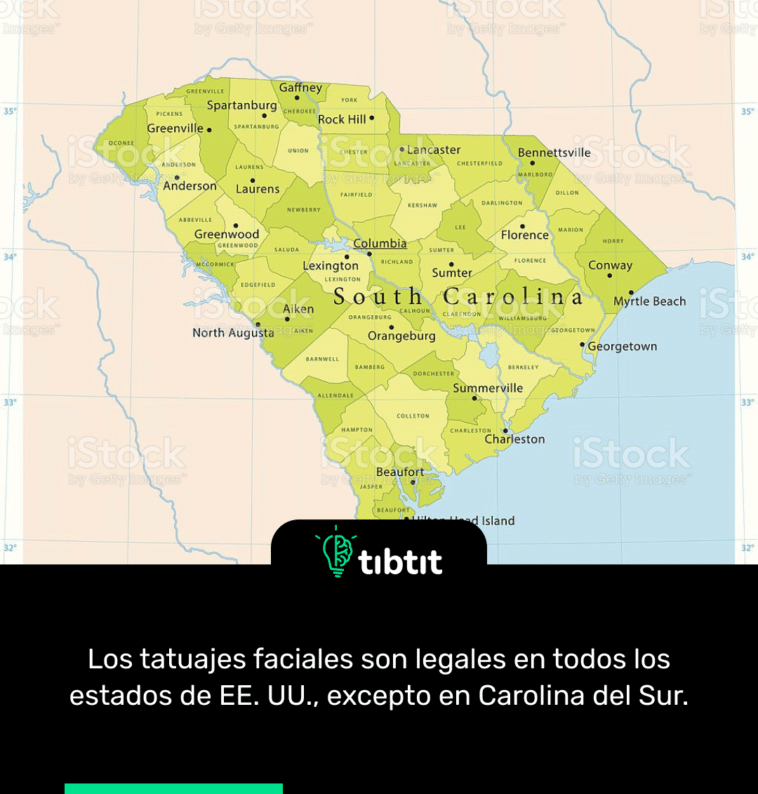 Los tatuajes faciales son legales en todos los estados de EE. UU., excepto en Carolina del Sur.
