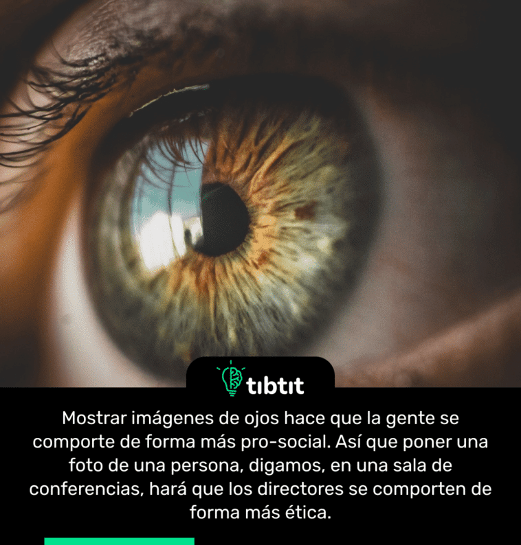 Mostrar imágenes de ojos hace que la gente se comporte de forma más pro-social. Así que poner una foto de una persona, digamos, en una sala de conferencias, hará que los directores se comporten de forma más ética.