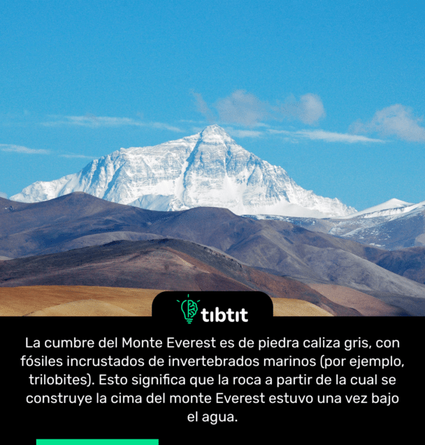 La cumbre del Monte Everest es de piedra caliza gris, con fósiles incrustados de invertebrados marinos (por ejemplo, trilobites). Esto significa que la roca a partir de la cual se construye la cima del monte Everest estuvo una vez bajo el agua.