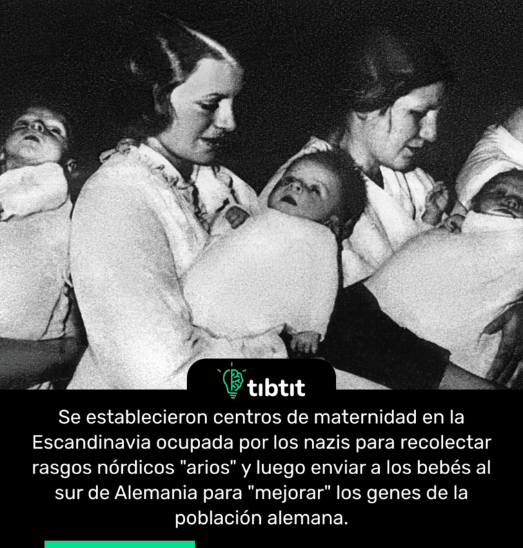 Se establecieron centros de maternidad en la Escandinavia ocupada por los nazis para recolectar rasgos nórdicos "arios" y luego enviar a los bebés al sur de Alemania para "mejorar" los genes de la población alemana.
