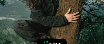 La activista medioambiental Julia "Butterfly" Hill vivió en una secuoya de California (conocida como Luna) de 1.500 años de antigüedad a 54,86 metros sobre el suelo durante 738 días para evitar que Pacific Lumber Company la talara. Se las arregló para salvar el árbol.