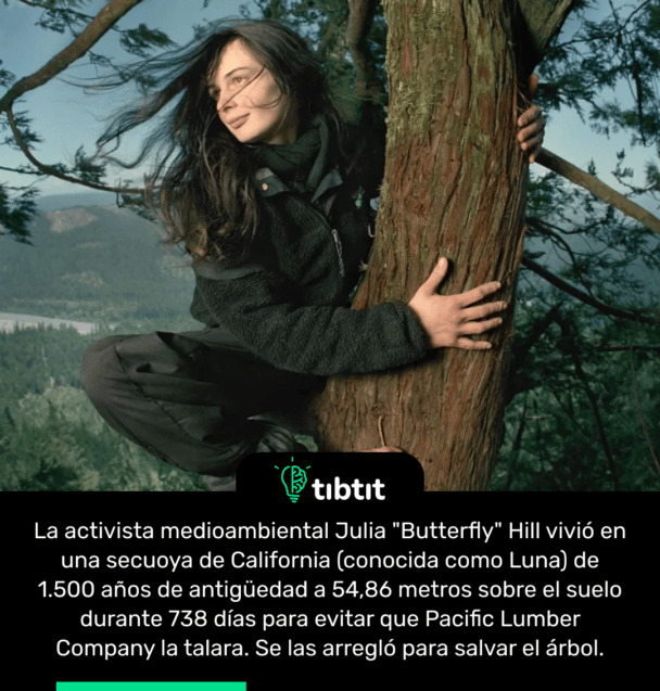 La activista medioambiental Julia "Butterfly" Hill vivió en una secuoya de California (conocida como Luna) de 1.500 años de antigüedad a 54,86 metros sobre el suelo durante 738 días para evitar que Pacific Lumber Company la talara. Se las arregló para salvar el árbol.