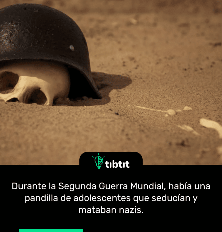 Durante la Segunda Guerra Mundial, había una pandilla de adolescentes que seducían y mataban nazis.