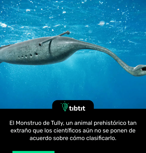 El Monstruo de Tully, un animal prehistórico tan extraño que los científicos aún no se ponen de acuerdo sobre cómo clasificarlo.