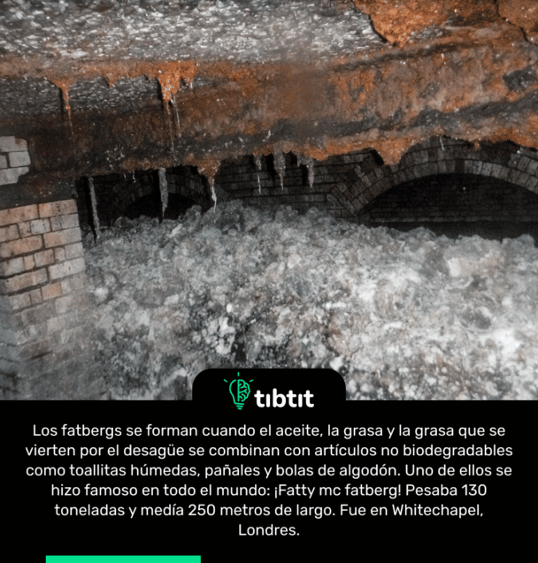 Los fatbergs se forman cuando el aceite, la grasa y la grasa que se vierten por el desagüe se combinan con artículos no biodegradables como toallitas húmedas, pañales y bolas de algodón. Uno de ellos se hizo famoso en todo el mundo: ¡Fatty mc fatberg! Pesaba 130 toneladas y medía 250 metros de largo. Fue en Whitechapel, Londres.