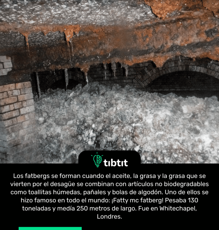 Los fatbergs se forman cuando el aceite, la grasa y la grasa que se vierten por el desagüe se combinan con artículos no biodegradables como toallitas húmedas, pañales y bolas de algodón. Uno de ellos se hizo famoso en todo el mundo: ¡Fatty mc fatberg! Pesaba 130 toneladas y medía 250 metros de largo. Fue en Whitechapel, Londres.