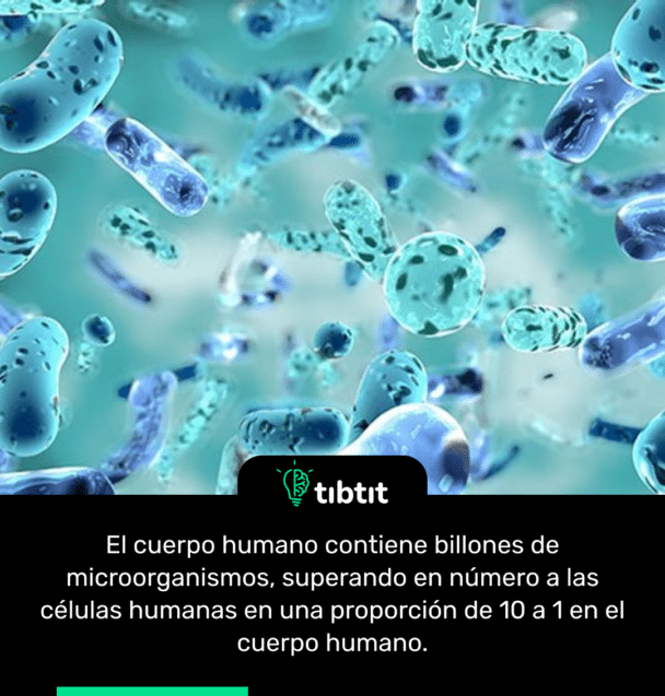 El cuerpo humano contiene billones de microorganismos, superando en número a las células humanas en una proporción de 10 a 1 en el cuerpo humano.