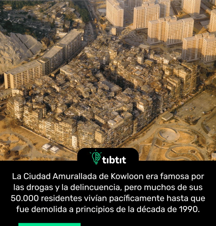 La Ciudad Amurallada de Kowloon era famosa por las drogas y la delincuencia, pero muchos de sus 50.000 residentes vivían pacíficamente hasta que fue demolida a principios de la década de 1990.