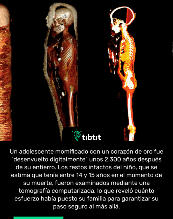 Un adolescente momificado con un corazón de oro fue "desenvuelto digitalmente" unos 2.300 años después de su entierro. Los restos intactos del niño, que se estima que tenía entre 14 y 15 años en el momento de su muerte, fueron examinados mediante una tomografía computarizada, lo que reveló cuánto esfuerzo había puesto su familia para garantizar su paso seguro al más allá.