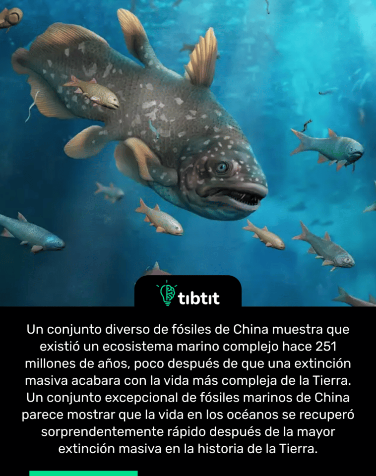 Un conjunto diverso de fósiles de China muestra que existió un ecosistema marino complejo hace 251 millones de años, poco después de que una extinción masiva acabara con la vida más compleja de la Tierra. Un conjunto excepcional de fósiles marinos de China parece mostrar que la vida en los océanos se recuperó sorprendentemente rápido después de la mayor extinción masiva en la historia de la Tierra.