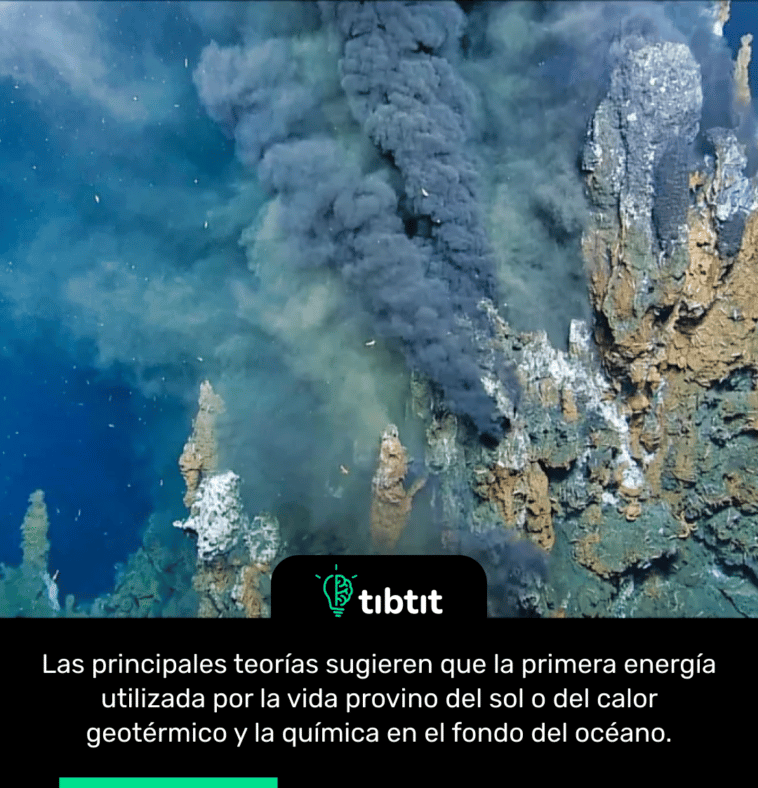 Las principales teorías sugieren que la primera energía utilizada por la vida provino del sol o del calor geotérmico y la química en el fondo del océano.