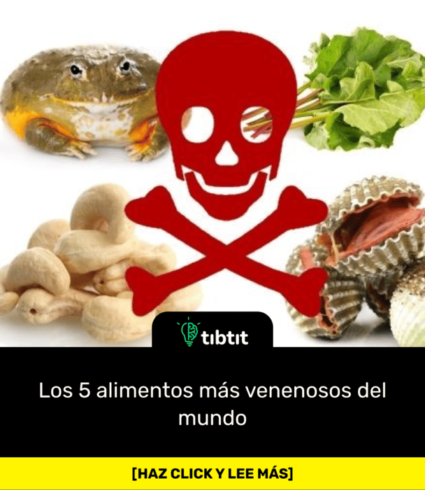 Los 5 alimentos más venenosos del mundo