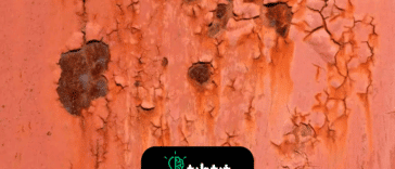 ¿Qué es la oxidación? Un viaje por el mundo de las reacciones redox