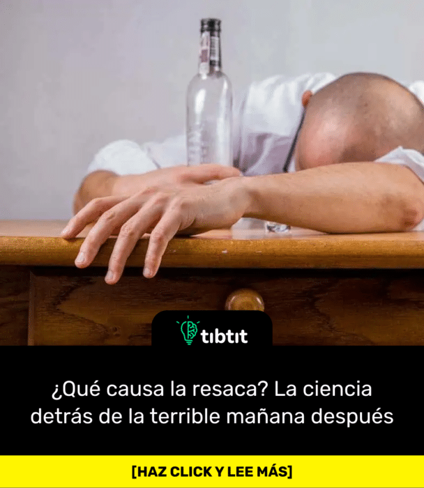 ¿Qué causa la resaca? La ciencia detrás de la terrible mañana después