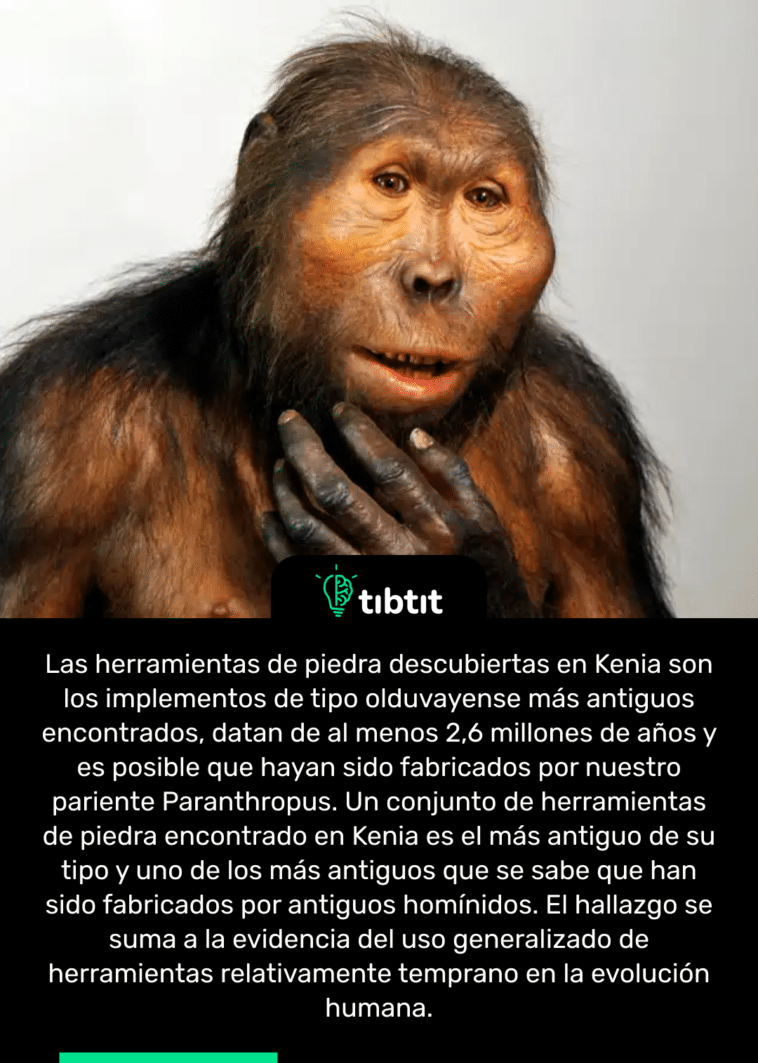 Las herramientas de piedra descubiertas en Kenia son los implementos de tipo olduvayense más antiguos encontrados, datan de al menos 2,6 millones de años y es posible que hayan sido fabricados por nuestro pariente Paranthropus. Un conjunto de herramientas de piedra encontrado en Kenia es el más antiguo de su tipo y uno de los más antiguos que se sabe que han sido fabricados por antiguos homínidos. El hallazgo se suma a la evidencia del uso generalizado de herramientas relativamente temprano en la evolución humana.