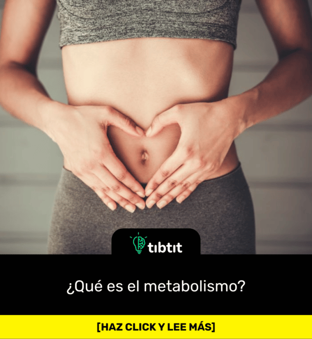 ¿Qué es el metabolismo?