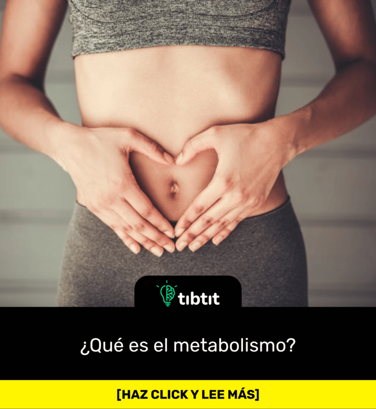 ¿Qué es el metabolismo?