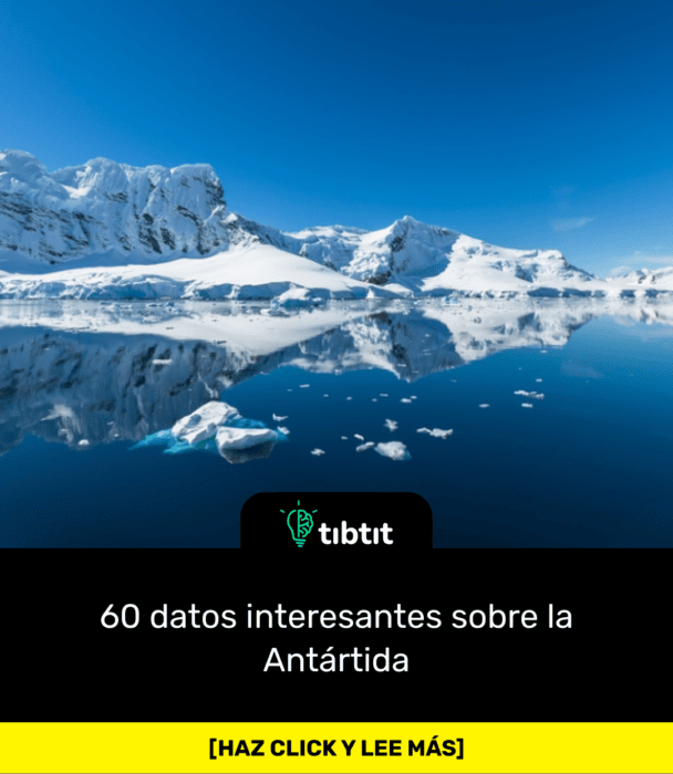 60 datos interesantes sobre la Antártida